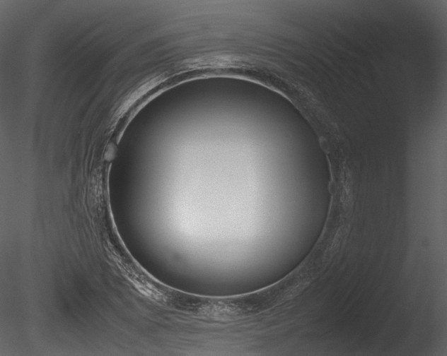 X0000085251073200703161246