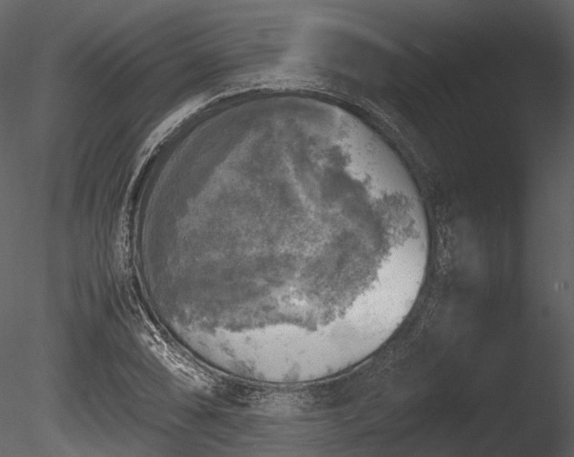 X0000085251074200703161246