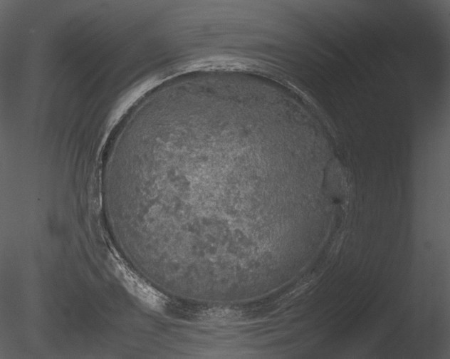 X0000085251075200703161246