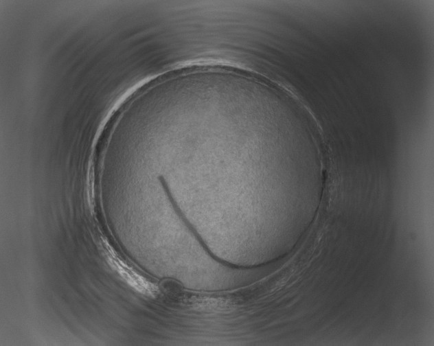 X0000085251076200703161246