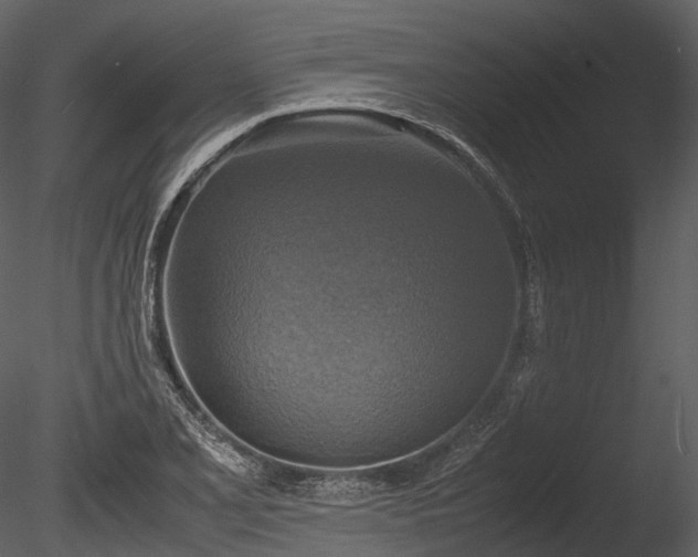 X0000085251077200703161246