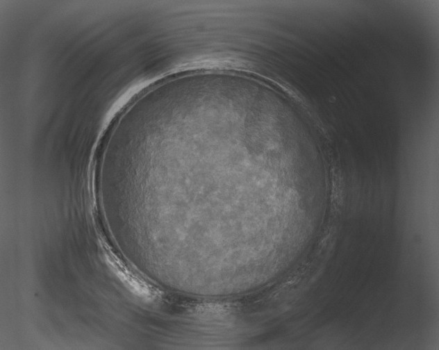 X0000085251078200703161246