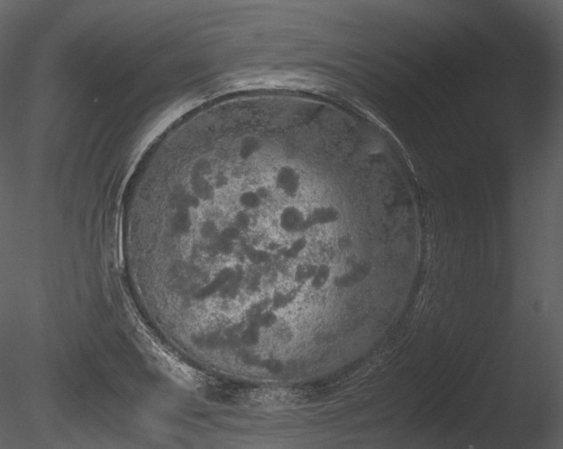 X0000085251079200703161246