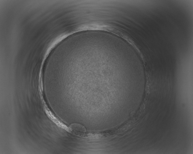 X0000085251080200703161246