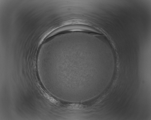 X0000085251081200703161246