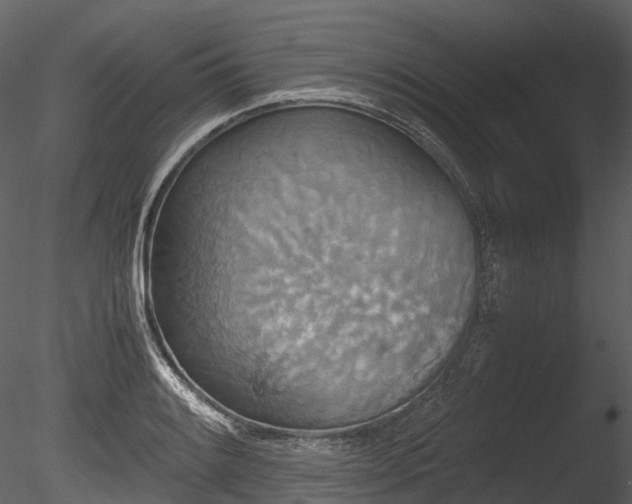 X0000085251084200703161246