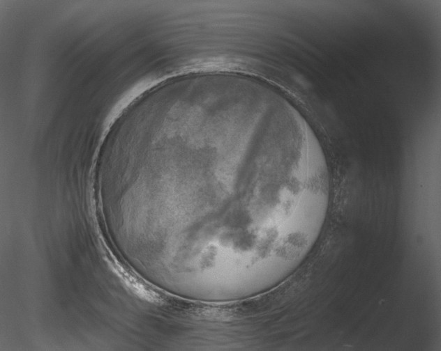 X0000085251086200703161246