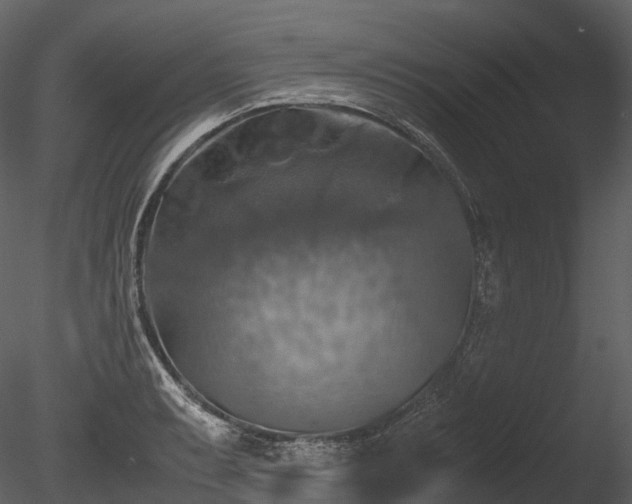 X0000085251087200703161246