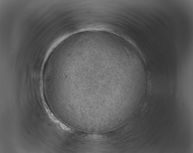 X0000085251088200703161246