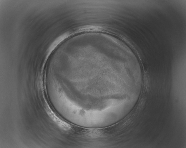 X0000085251090200703161246