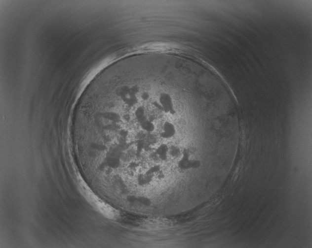 X0000085251091200703161246