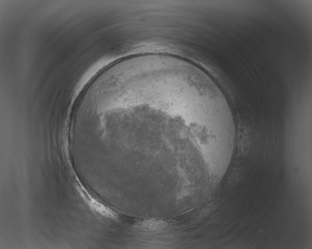 X0000085251094200703161246