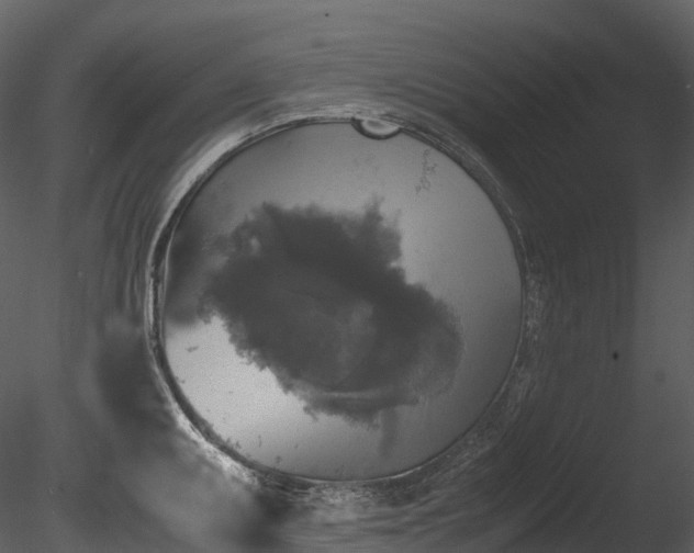 X0000085251095200703161246