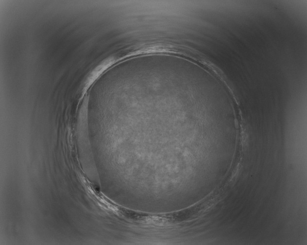 X0000085251097200703161246