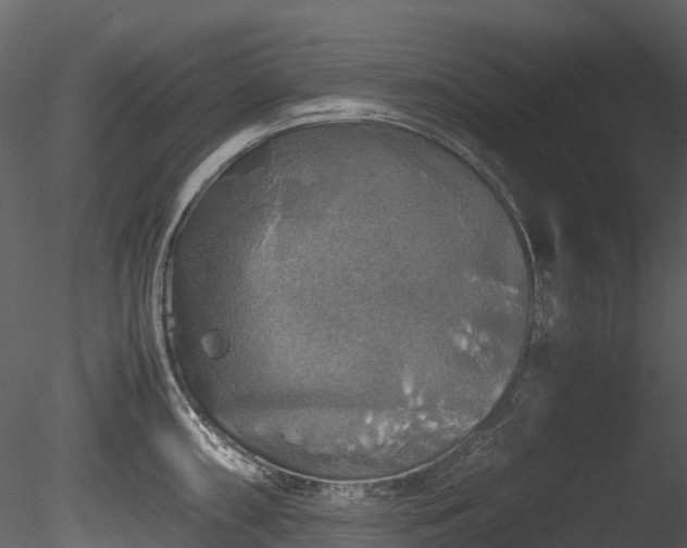 X0000085251098200703161245