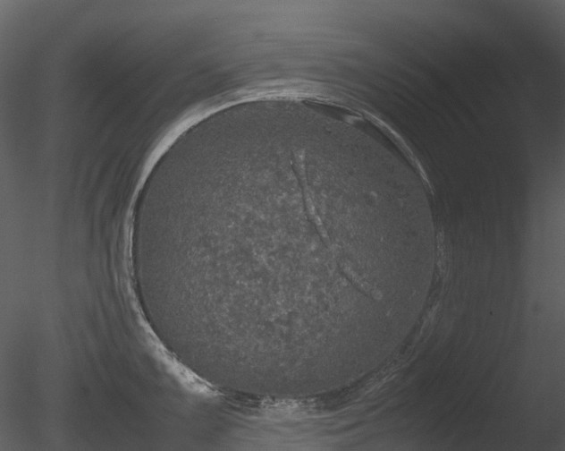 X0000085251099200703161245