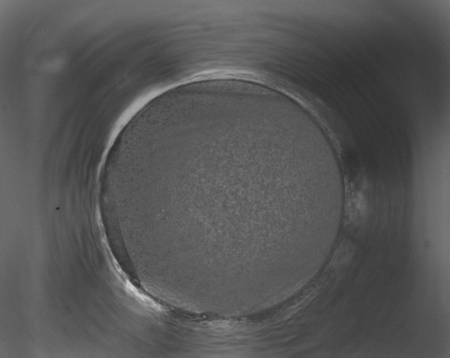 X0000085251102200703161245