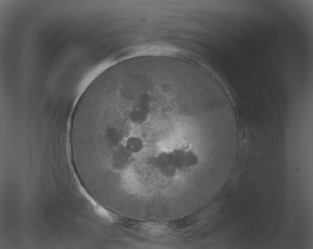 X0000085251103200703161245