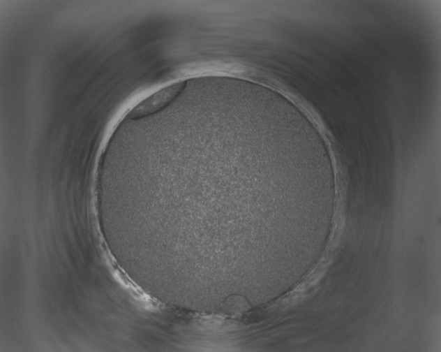 X0000085251104200703161245