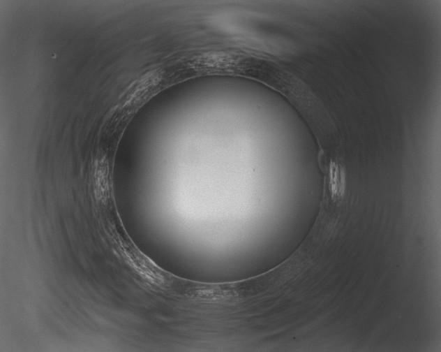 X0000085251107200703161245