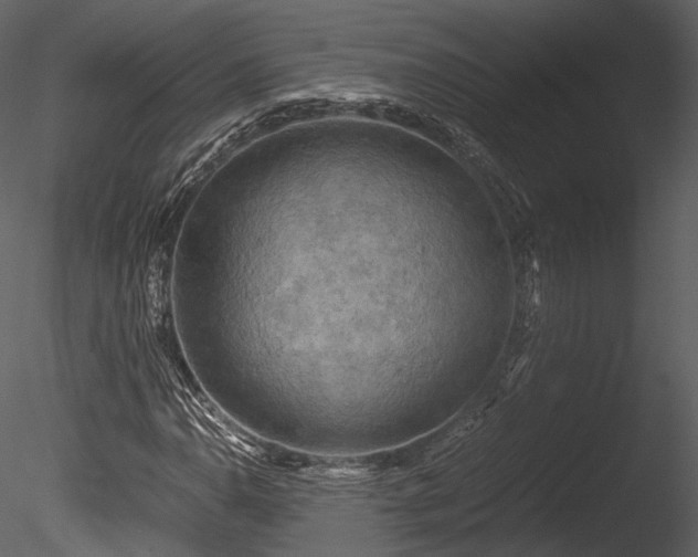 X0000085251110200703161245