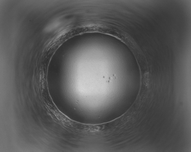 X0000085251111200703161245