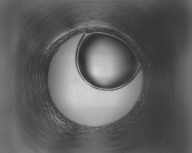 X0000085251112200703161245