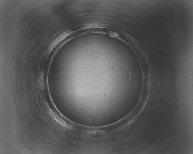 X0000085251113200703161245