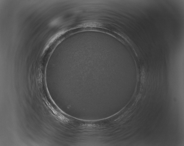 X0000085251115200703161245