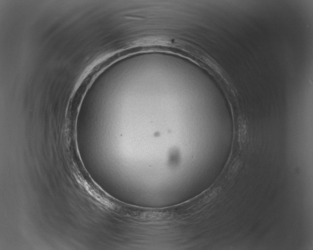 X0000085251116200703161245