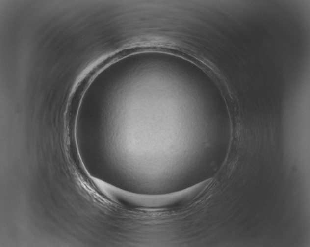 X0000085251120200703161245