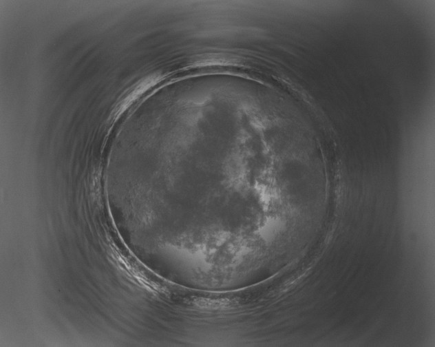 X0000085251121200703161245