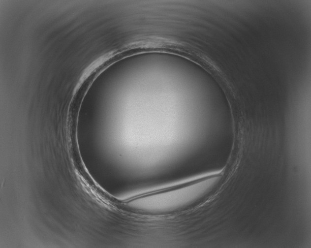 X0000085251122200703161245