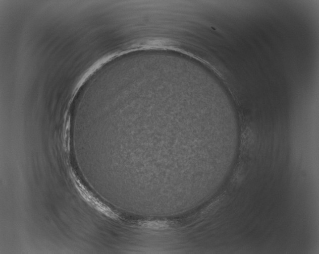 X0000085251126200703161245