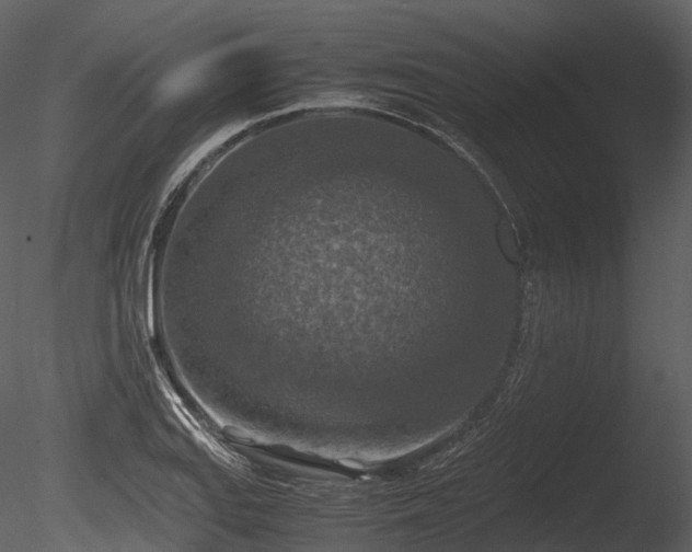 X0000085251127200703161245