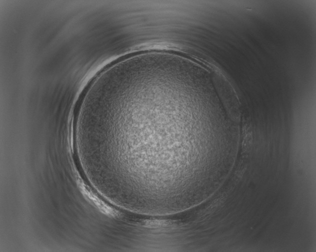 X0000085251132200703161245