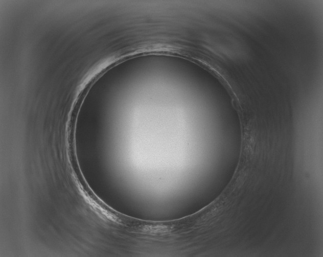 X0000085251135200703161245