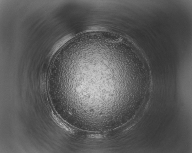 X0000085251137200703161245