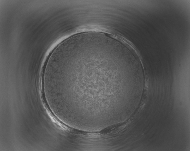 X0000085251144200703161245