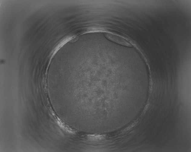 X0000085251145200703161245