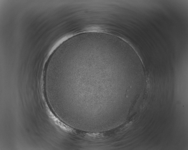 X0000085251147200703161245