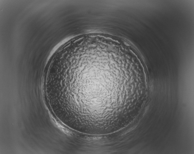 X0000085251149200703161245