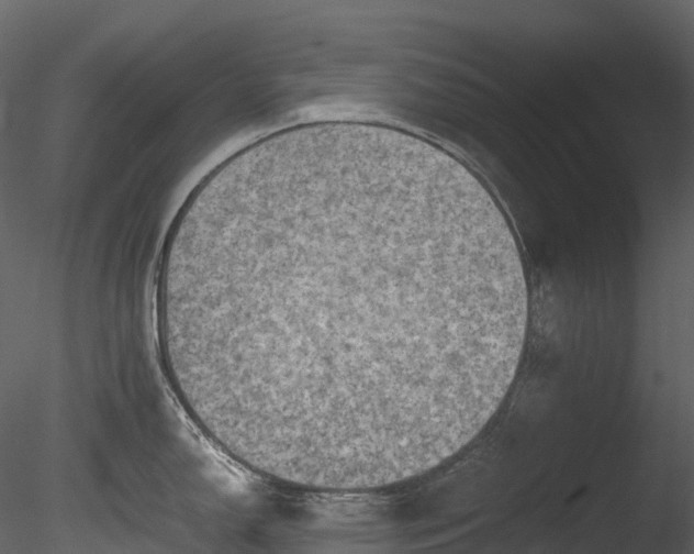 X0000085251150200703161245