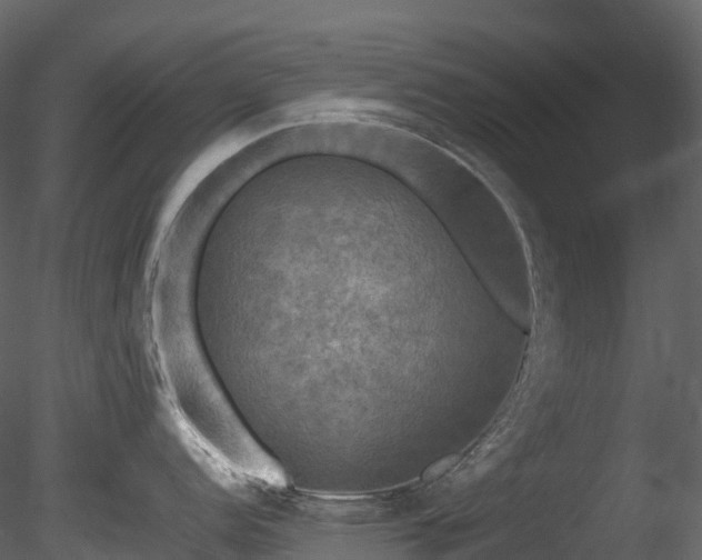 X0000085251152200703161245