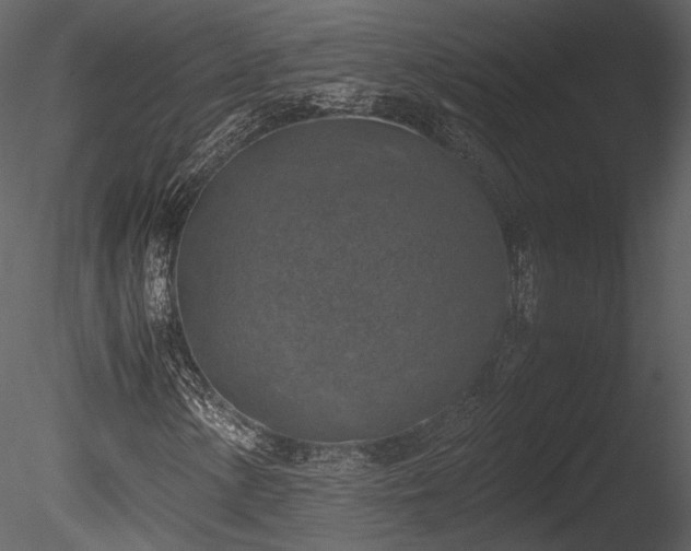 X0000085251154200703161245