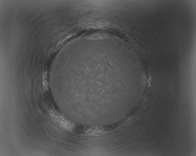 X0000085251156200703161244