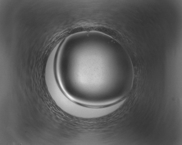 X0000085251157200703161244