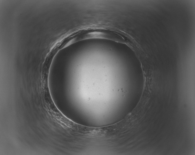 X0000085251160200703161244