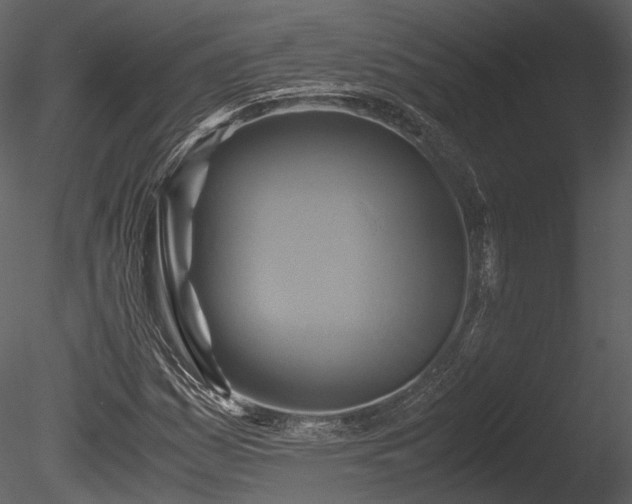 X0000085251161200703161244