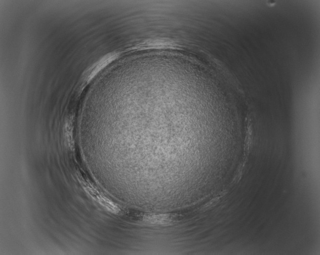 X0000085251162200703161244